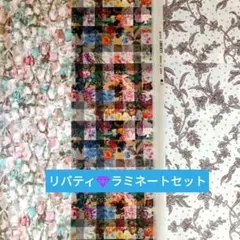 新品リバティ❇ラミネートカットクロス3枚セット❤他に端布付き