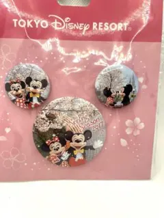 東京ディズニーリゾート 新品　ミッキー ミニー ピンバッジ 2017 実写