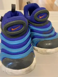 NIKE ナイキ ダイナモフリー 15cm