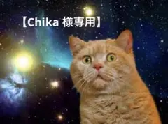 Chika様専用