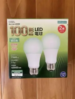 100形 LED電球 2個入り E26