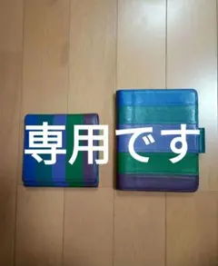 Item thumbnail for item 1dcda453-64d8-4a41-ace9-bb7c3c8768c8