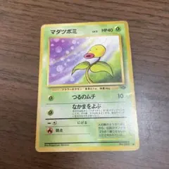 ポケモンカード マダツボミ 旧裏面
