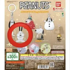 PEANUTS めじるしアクセサリー FUNNY ver. スヌーピーB ガチャ