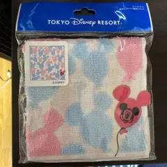 新品未開封 東京ディズニーリゾート ハンドタオル