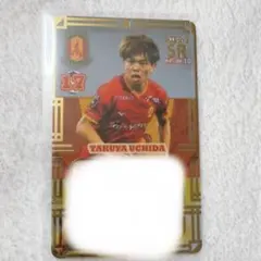 Item thumbnail for item 77d38d03-a642-49ff-a9c4-cafaf19677b0