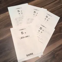 [Sapix5年生] 2024年SAPIX5年生テストまとめ hqdefault.jpg