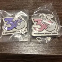 ポケモン 30周年 メタルチャーム ミュウ ミュウツー 2種セット