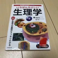 2026年最新】かとうゆみの人気アイテム - メルカリ