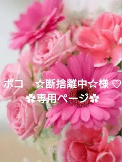 ポコ　☆断捨離中☆様 リクエスト 3点 まとめ商品♡