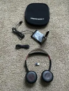 Item thumbnail for item d30b6761-3703-48cb-8d68-53b04111c31b