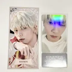 スビン シーグリ 2026 フォトチケット　キャラクターカード　特典　txt