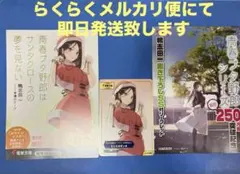 青春ブタ野郎 青春ブタ野郎はキングタートルの夢を見ないリーフレット等３点セット
