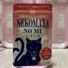 Item thumbnail for item 3b1cb2da-be05-4387-8141-e1a4b1dca595