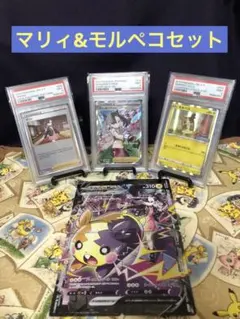 モルペコ 2019 チャンピオンシップシリーズ2020 2025年最新】モルペコ チャンピオンシップの人気アイテム - メルカリ