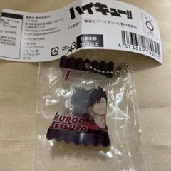 ハイキュー！！ガチャ　キーホルダー