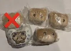 ラテ セット売り