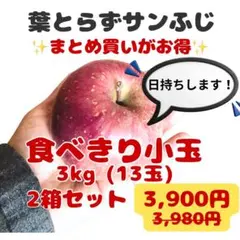 【まとめ買いがお得】青森県産りんご　葉とらずサンふじ小玉　訳あり良品3kg×2箱