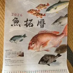 Item thumbnail for item cc1cb917-9169-438f-9acb-caec4405da93