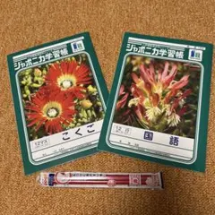 ジャポニカ学習帳　こくご・12行/国語・12マス 赤鉛筆2本セットのサムネイル