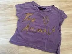 Item thumbnail for item 8c5eda02-8d11-410a-bfcc-3068f7ce5d95