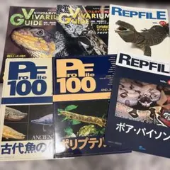 Profile 100 古代魚 ポリプテルス 専門誌 セットのサムネイル
