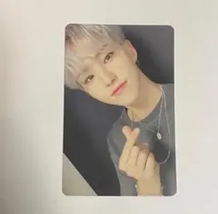SEVENTEEN ホシ トレカ 舞い落ちる花びら