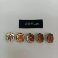 「命極愛仁義」学ラン裏ボタン　レトロ