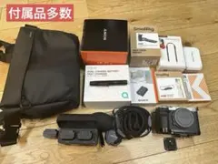 2026年最新】a7CIIの人気アイテム - メルカリ