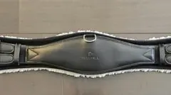 Item thumbnail for item 7cfba77a-548c-4fb1-bce9-e4c561c0f726