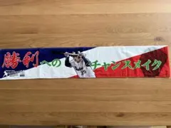 Item thumbnail for item b7ca39bd-b004-4363-94a4-aac7f98028d3