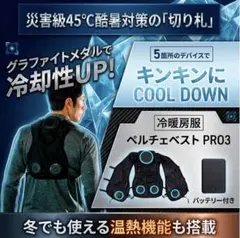 値下げ可能ワークマン WindCoreペルチェデバイス×5 2026年 - メルカリ