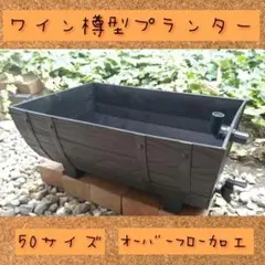 ４個セット　ワイン樽型メダカ飼育プランター　50サイズ　ブラック　オーバーフロー 2個セット ワイン樽型メダカ飼育プランター50サイズ ブラック パイプ