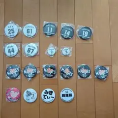 千葉ロッテマリーンズ　缶バッジ　19個　セット