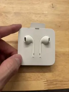 Apple EarPods with Lightning Connector