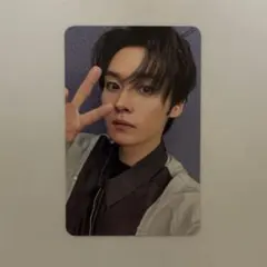 straykisd リノ アコーディオン