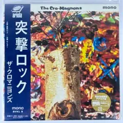 2026年最新】ザ クロマニヨンズ レコードの人気アイテム - メルカリ
