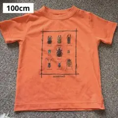 mont-bell キッズ Tシャツ 昆虫柄 100cmのサムネイル