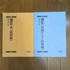駿台　漢文　テキスト、プリント セット2023年版