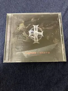 2026年最新】laputa cdの人気アイテム - メルカリ