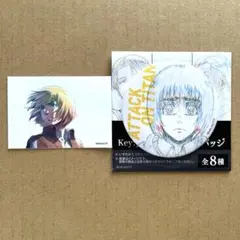 進撃の巨人 WIT STUDIO TSUTAYA 特典缶バッジ アルミン - メルカリ