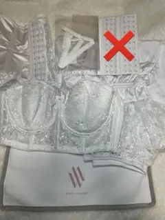 ディズニーフェアリーテイルウェディング セモアブライダルインナー セット