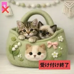 フラットポーチ1150円♥オーダー受け付けページ
