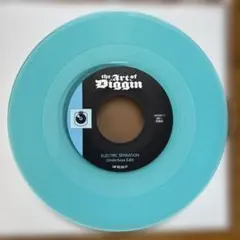 ジャパレゲ 7インチ レコード moomin feat. nanjaman-海へ - メルカリ