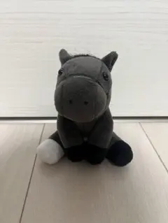 アイドルホース クロワデュノール