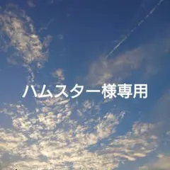 【ハムスター様専用】サンリオキャラクターズ　ハロウィン　ハローキティ