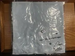 【限定グッズ】空港オリジナル 札幌丘珠空港 今治タオルハンカチ 飛行機