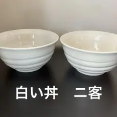 ホワイト陶器 丼 2個セット