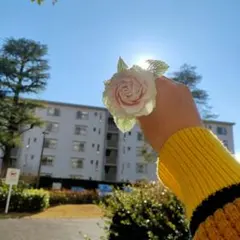 一輪挿し　バラ　かぎ編み 期間限定