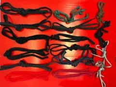 Item thumbnail for item 3653899a-1148-453a-95c0-3a20c5ffa8ee